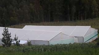 Agrofilm ó Lámina de polietileno para invernadero